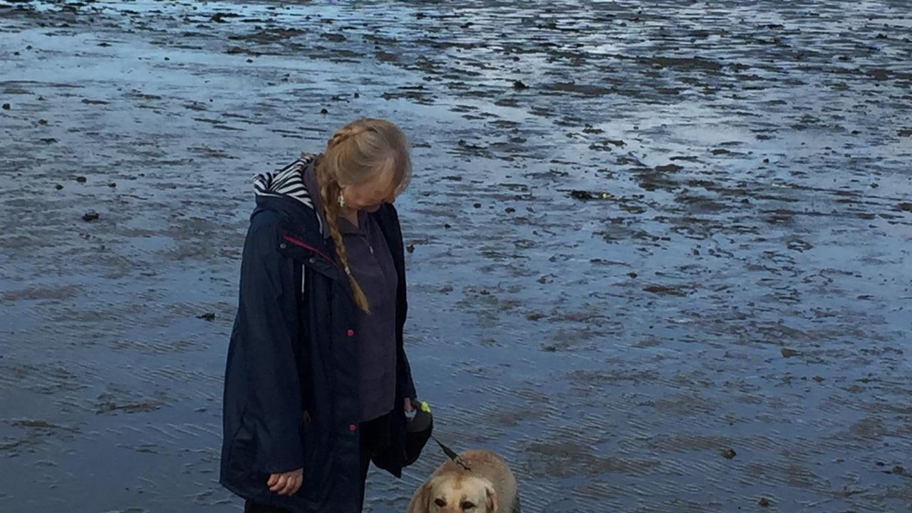 Spaziergang im Watt Spaziergang im Watt